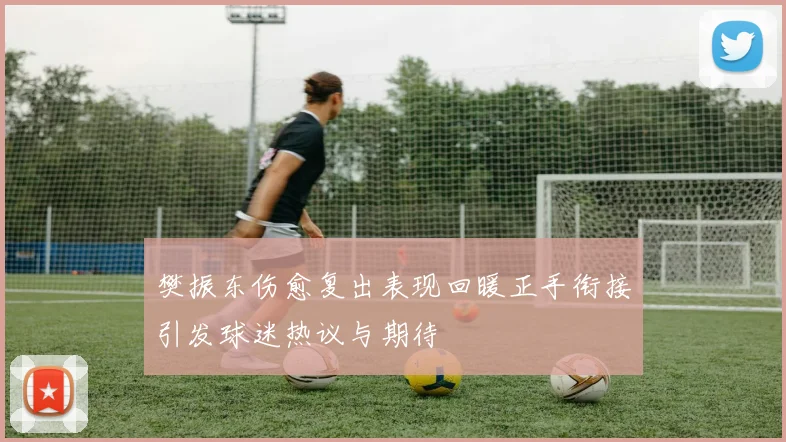 樊振东伤愈复出表现回暖正手衔接引发球迷热议与期待